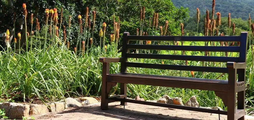 Holzbank in einem blühenden Garten mit Fackellilien, ein ruhiger Ort zum Innehalten
